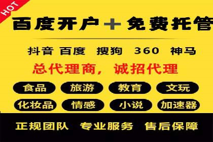 行业领先企业的SEM代理案例剖析